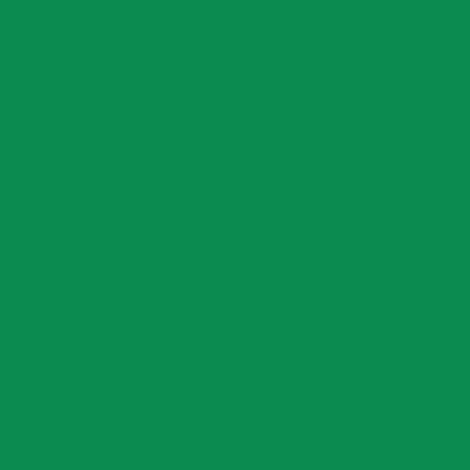 3800-00340 (Green)