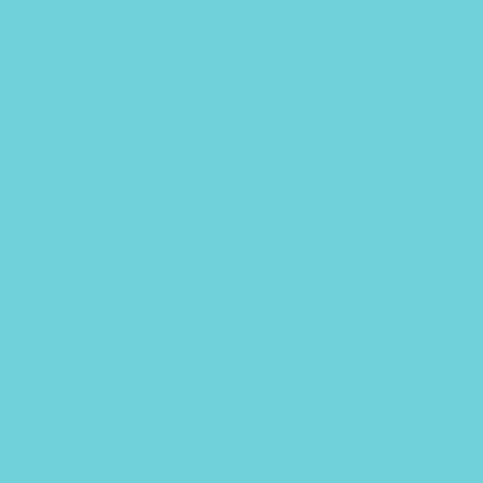 3800-00612 (Turquoise)
